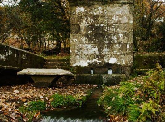 Apartamento Acogedora Minicasa En Entorno Rural A 1200 M De La Catedral Santiago de Compostela Exterior foto